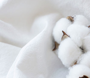 Cotton