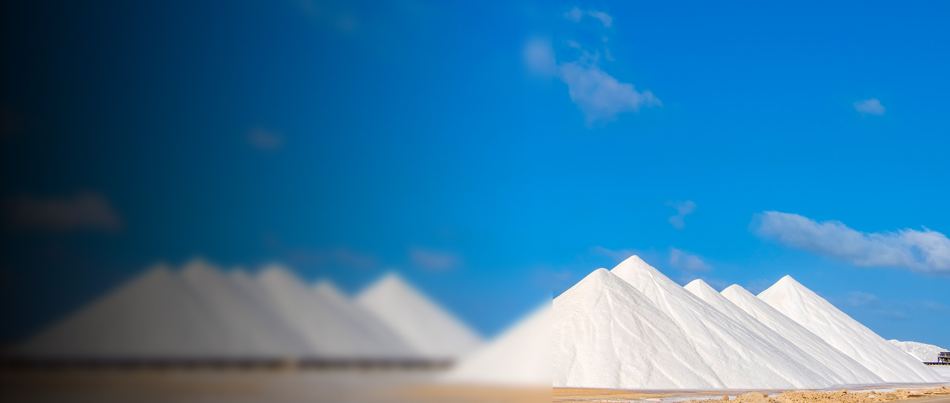 Zero Salt