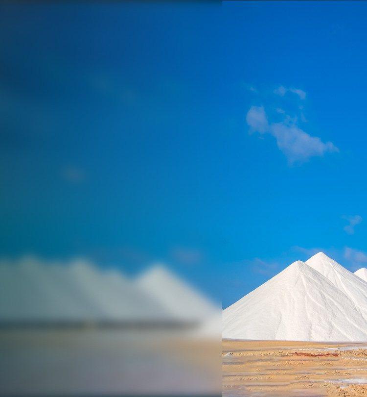 Zero Salt